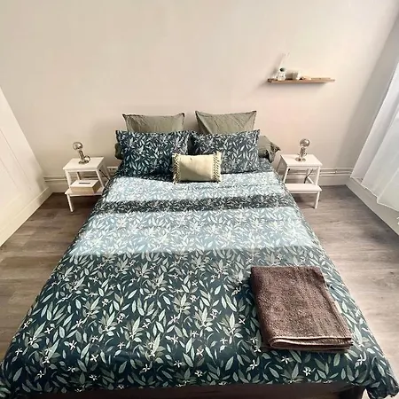 Apartamento Ideal Gare Aeroport Centre-ville *