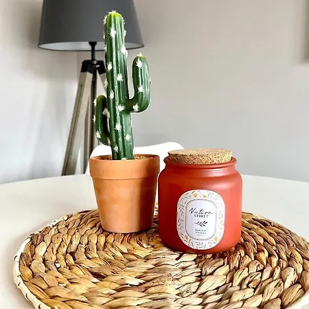 公寓 Ideal Gare Aeroport Centre-ville 博韦